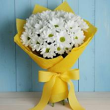 Букет цветов из:  Хризантемы в Донская Сочи