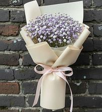 Букет цветов из:  Гипсофила в Донская Сочи