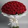 Букет 101 Красная роза Блэк Мэджик в Донская Сочи