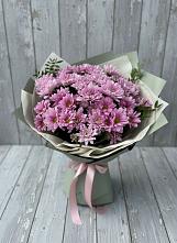 Букет цветов из:  Хризантемы в Донская Сочи