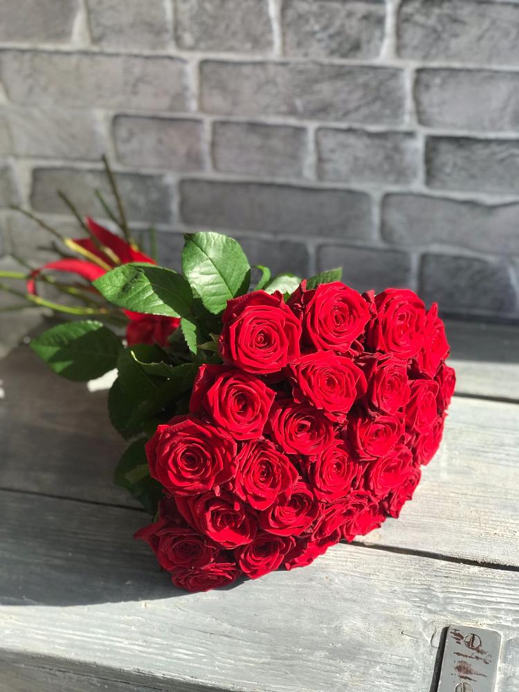 Букет Красные розы Фридом в Донская Сочи