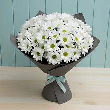 Букет цветов из:  Хризантемы в Донская Сочи