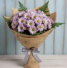 Букет цветов из:  Хризантемы в Донская Сочи