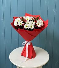 Букет цветов из:  Хризантемы в Донская Сочи