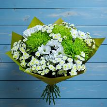 Букет цветов из:  Хризантемы в Донская Сочи