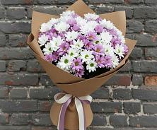 Букет цветов из:  Хризантемы в Донская Сочи