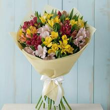 Букет цветов из:  Альстромерии в Донская Сочи