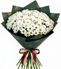 Букет цветов из:  Хризантемы в Донская Сочи