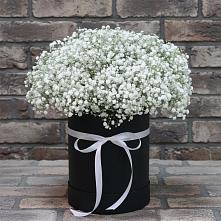 Цветочная композиция из Гипсофила в шляпной коробке в Донская Сочи