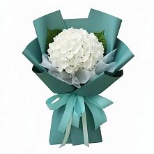 Букет цветов из:  Гортензия в Донская Сочи